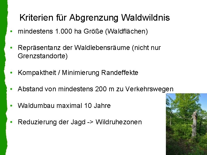 Kriterien für Abgrenzung Waldwildnis • mindestens 1. 000 ha Größe (Waldflächen) • Repräsentanz der