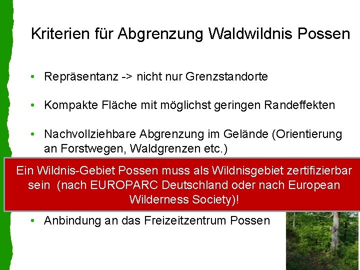 Kriterien für Abgrenzung Waldwildnis Possen • Repräsentanz -> nicht nur Grenzstandorte • Kompakte Fläche
