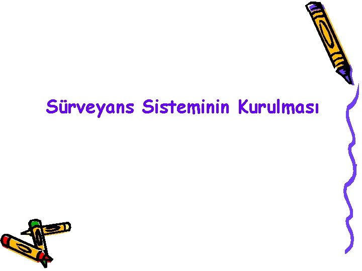 Sürveyans Sisteminin Kurulması 