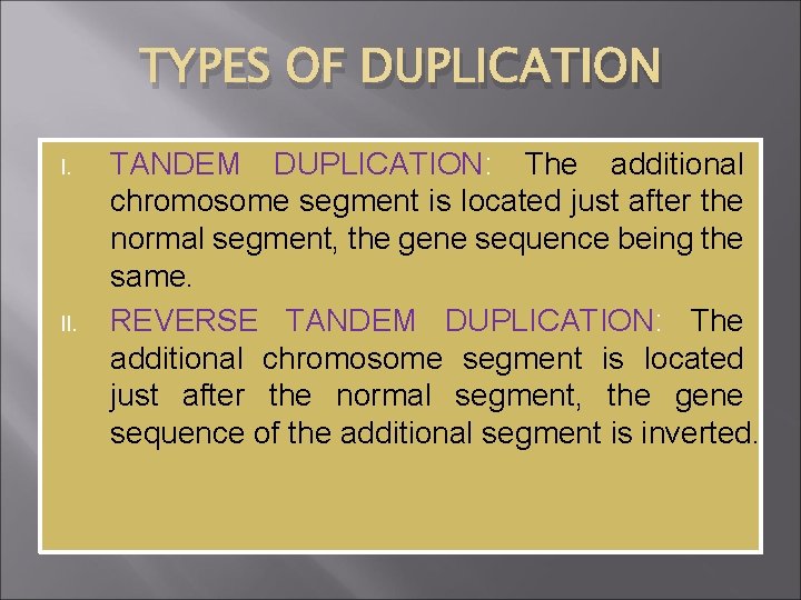 TYPES OF DUPLICATION I. II. TANDEM DUPLICATION: The additional chromosome segment is located just