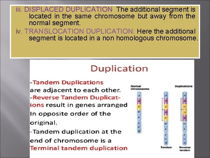 iii. DISPLACED DUPLICATION: The additional segment is located in the same chromosome but away