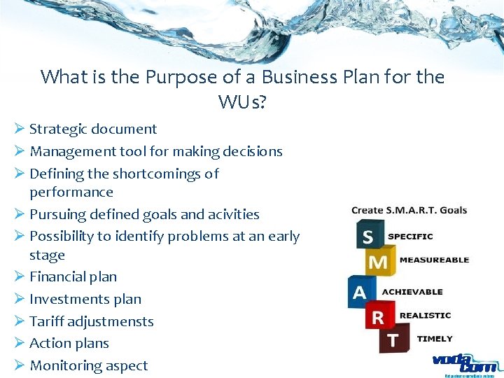 What is the Purpose of a Business Plan for the WUs? Ø Strategic document