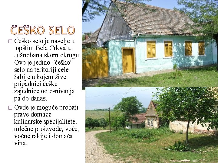 Češko selo je naselje u opštini Bela Crkva u Južnobanatskom okrugu. Ovo je jedino
