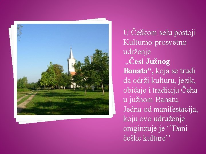 U Češkom selu postoji Kulturno-prosvetno udrženje „Česi Južnog Banata“, koja se trudi da održi