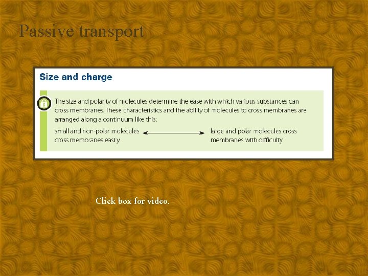 Passive transport Click box for video. 