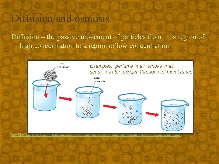 Diffusion and osmosis Diffusion – the passive movement of particles from a region of