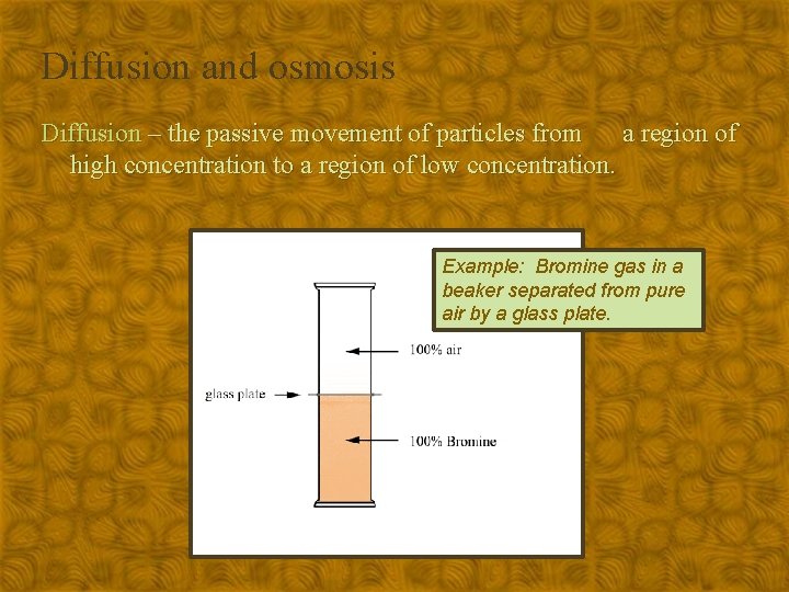 Diffusion and osmosis Diffusion – the passive movement of particles from a region of