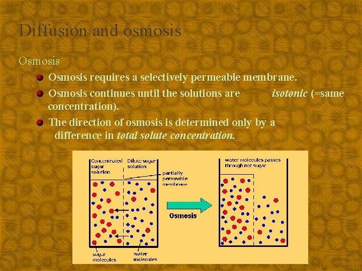 Diffusion and osmosis Osmosis requires a selectively permeable membrane. Osmosis continues until the solutions