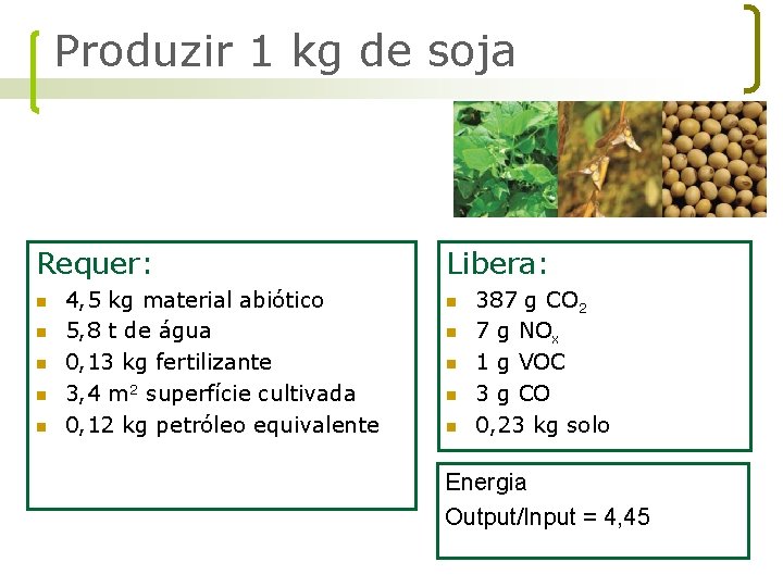 Produzir 1 kg de soja Requer: n n n 4, 5 kg material abiótico