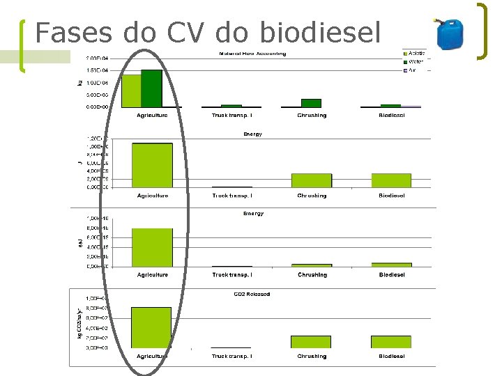 Fases do CV do biodiesel 