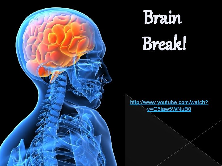 Brain Break! http: //www. youtube. com/watch? v=O 5 iaw 5 WNu. B 0 Brain Break! http: //www. youtube. com/watch? v=O 5 iaw 5 WNu. B 0