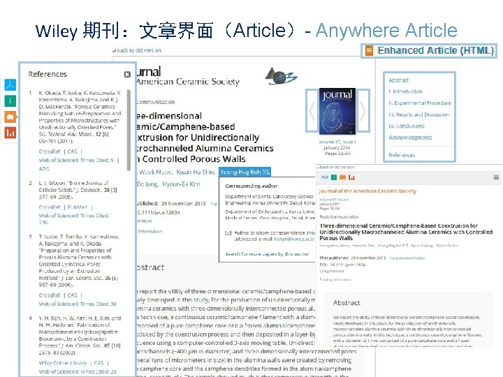 Wiley 期刊：文章界面（Article）- Anywhere Article 18 