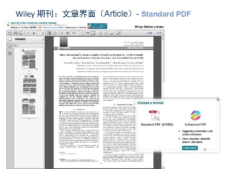 Wiley 期刊：文章界面（Article）- Standard PDF 20 