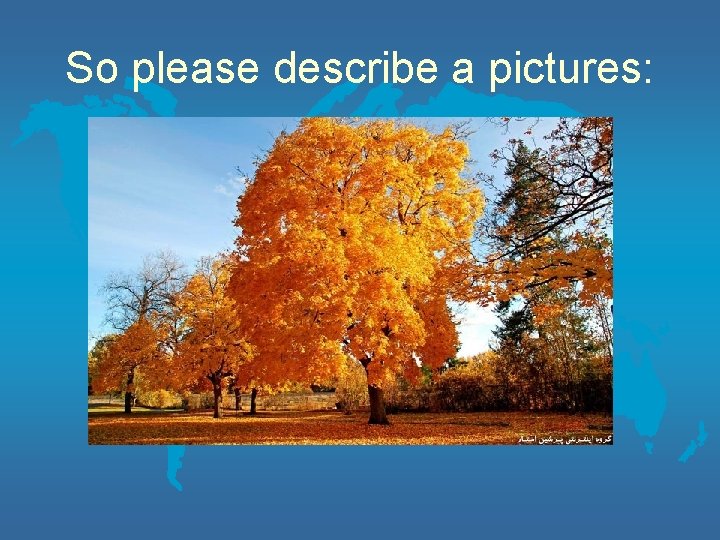 So please describe a pictures: 
