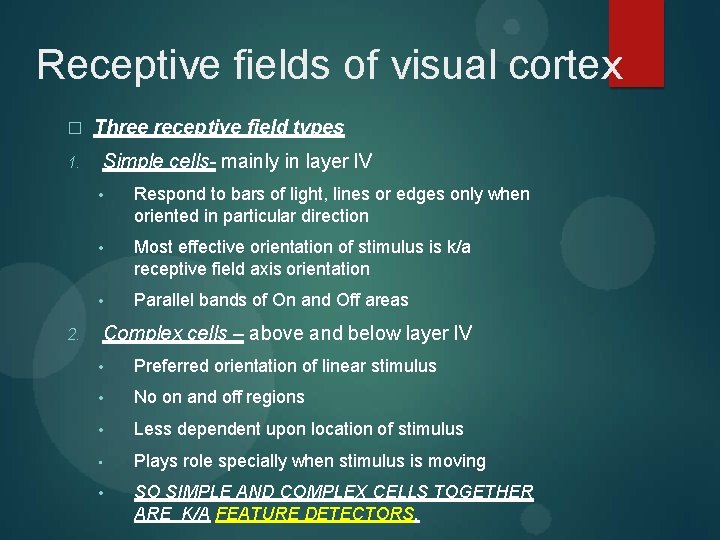 Receptive fields of visual cortex � 1. 2. Three receptive field types Simple cells-