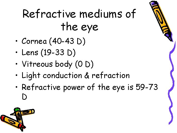 Refractive mediums of the eye • • • Cornea (40 -43 D) Lens (19