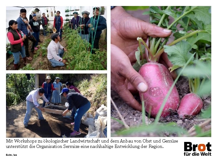 Mit Workshops zu ökologischer Landwirtschaft und dem Anbau von Obst und Gemüse unterstützt die