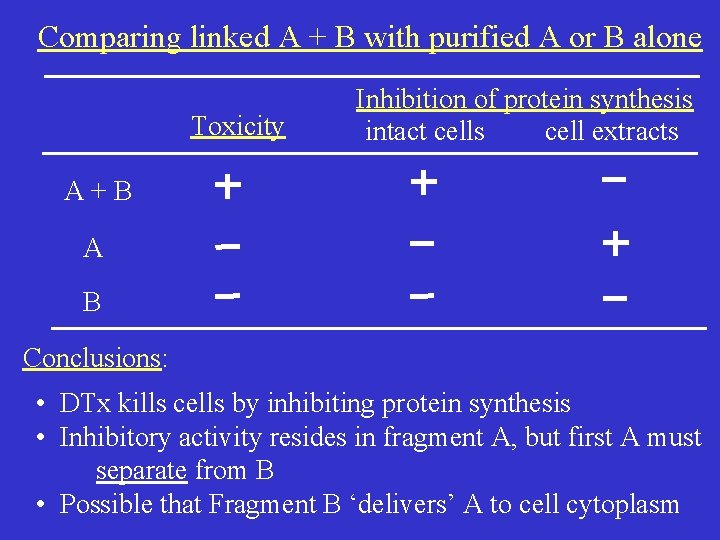 Comparing linked A + B with purified A or B alone Toxicity Inhibition of