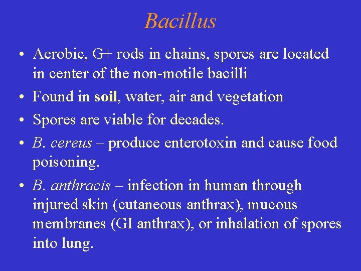 Bacillus • Aerobic, G+ rods in chains, spores are located in center of the