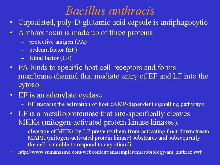 Bacillus anthracis • Capsulated, poly-D-glutamic acid capsule is antiphagocytic • Anthrax toxin is made