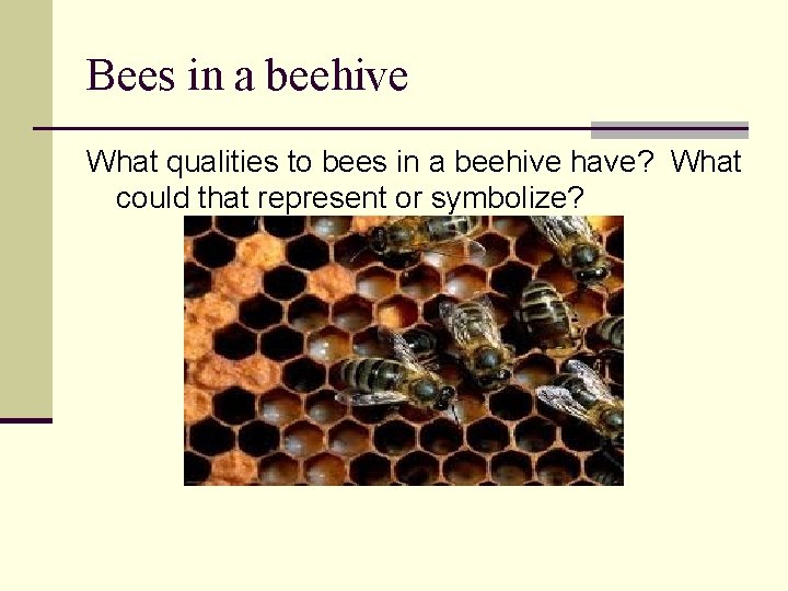 Bees in a beehive What qualities to bees in a beehive have? What could