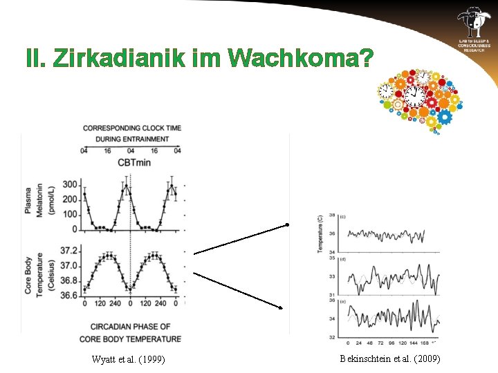 II. Zirkadianik im Wachkoma? Wyatt et al. (1999) Bekinschtein et al. (2009) 