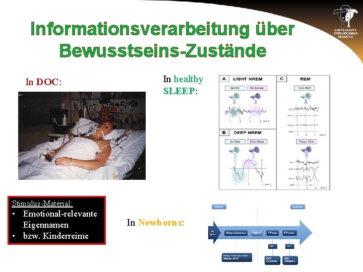 Informationsverarbeitung über Bewusstseins-Zustände In DOC: In healthy SLEEP: Stimulus-Material: • Emotional-relevante Eigennamen • bzw.