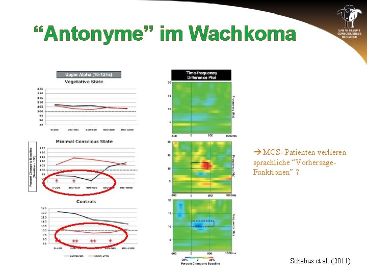 “Antonyme” im Wachkoma MCS- Patienten verlieren sprachliche “Vorhersage. Funktionen” ? Schabus et al. (2011)