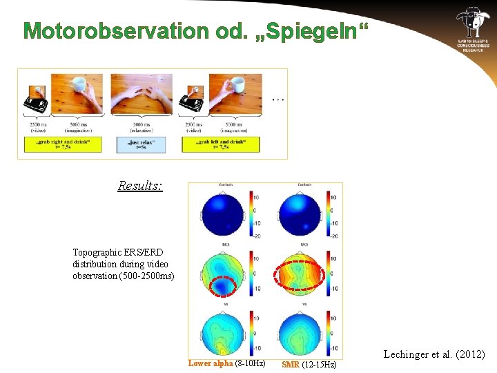 Motorobservation od. „Spiegeln“ Results: Topographic ERS/ERD distribution during video observation (500 -2500 ms) Lower