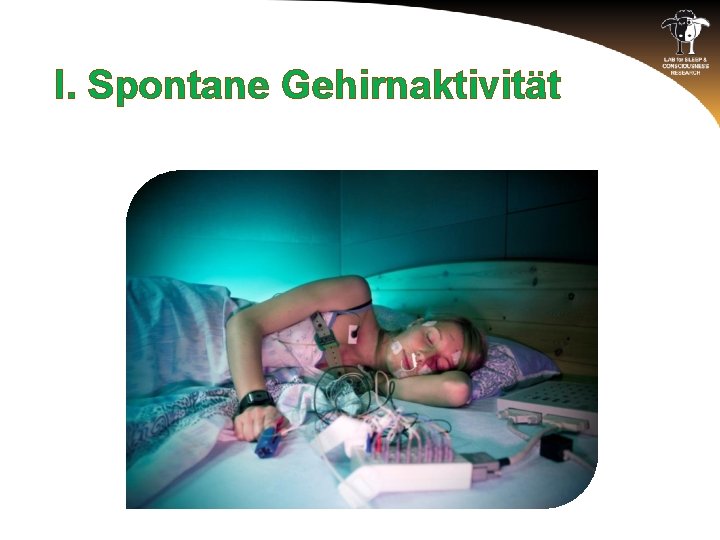 I. Spontane Gehirnaktivität 