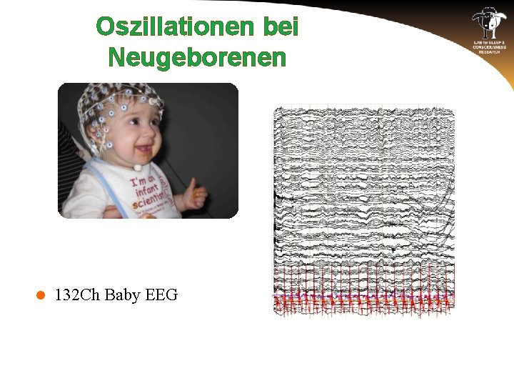 Oszillationen bei Neugeborenen l 132 Ch Baby EEG 