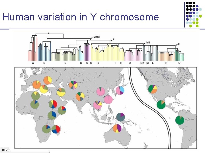 Human variation in Y chromosome CS 262 Lecture 9, Win 07, Batzoglou 