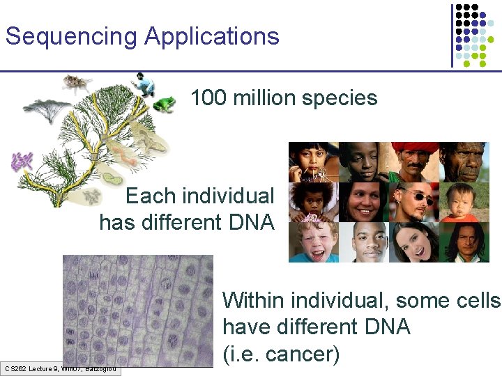 Sequencing Applications 100 million species Each individual has different DNA CS 262 Lecture 9,