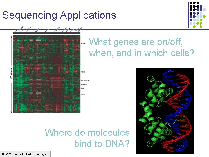 Sequencing Applications What genes are on/off, when, and in which cells? Where do molecules