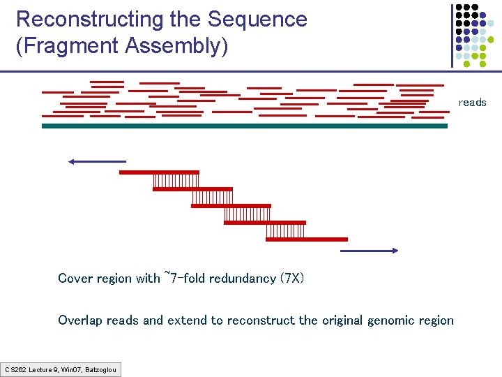Reconstructing the Sequence (Fragment Assembly) reads Cover region with ~7 -fold redundancy (7 X)