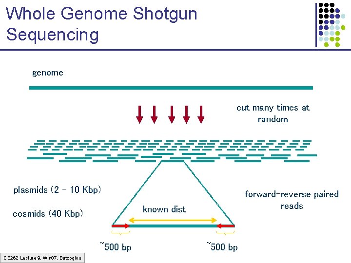 Whole Genome Shotgun Sequencing genome cut many times at random plasmids (2 – 10