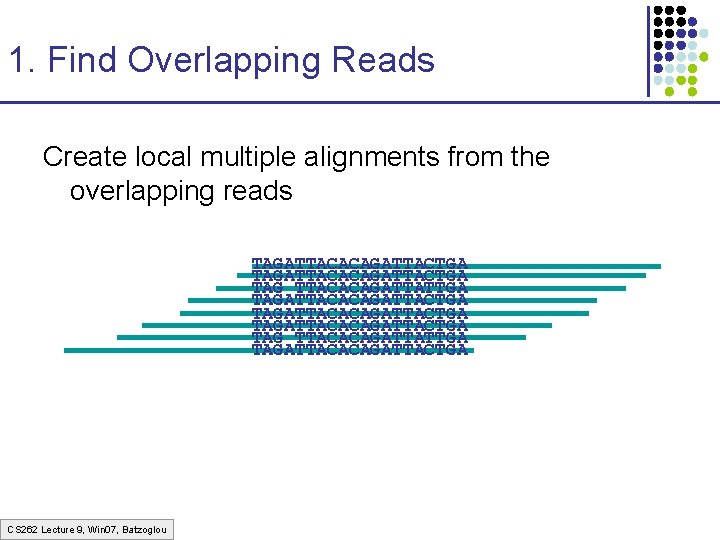 1. Find Overlapping Reads Create local multiple alignments from the overlapping reads TAGATTACACAGATTACTGA TAG