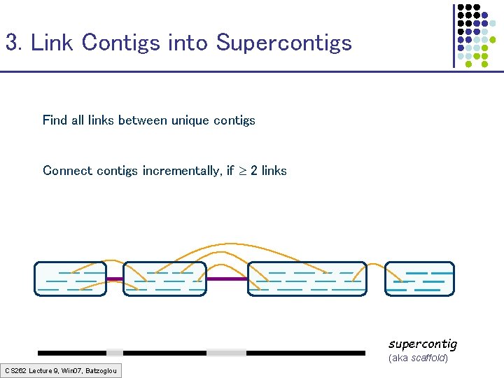 3. Link Contigs into Supercontigs Find all links between unique contigs Connect contigs incrementally,