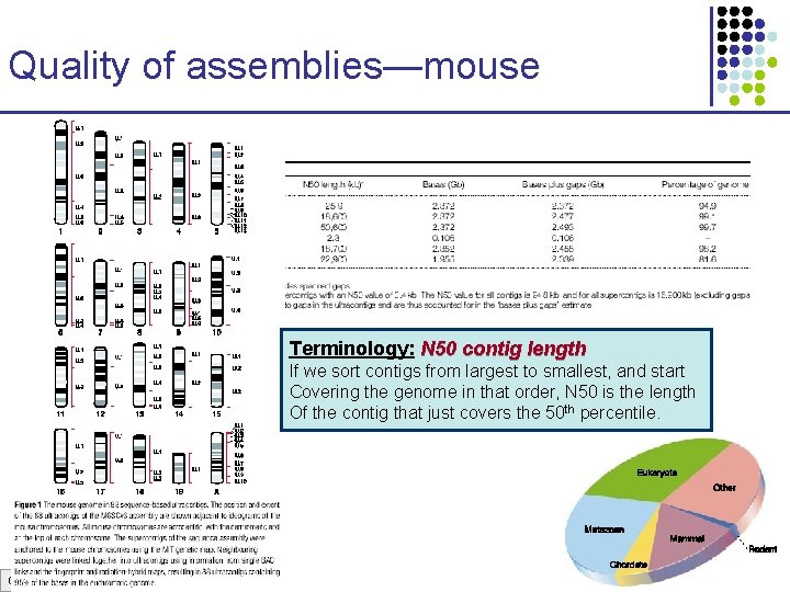 Quality of assemblies—mouse Terminology: N 50 contig length If we sort contigs from largest