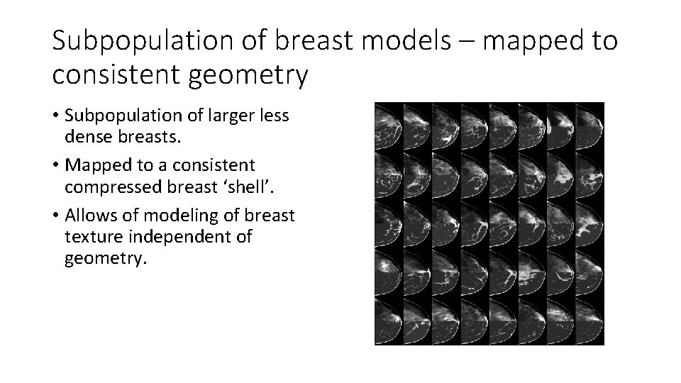 Subpopulation of breast models – mapped to consistent geometry • Subpopulation of larger less