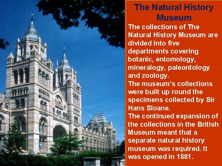 The Natural History Museum The collections of The Natural History Museum are divided into