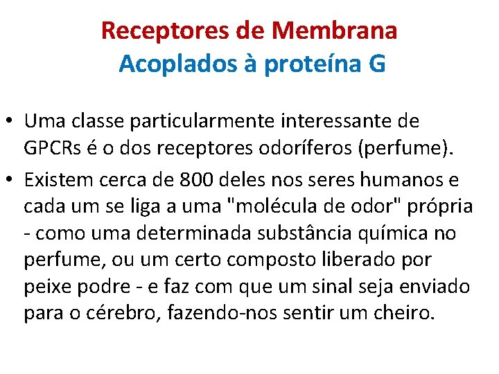 Receptores de Membrana Acoplados à proteína G • Uma classe particularmente interessante de GPCRs