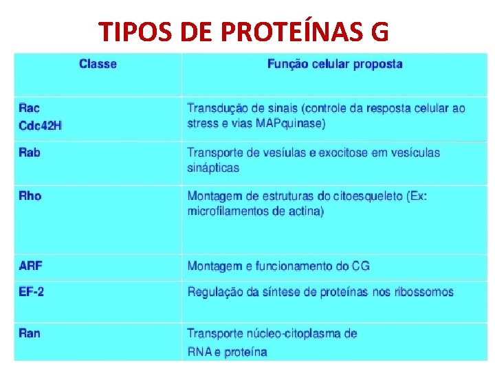 TIPOS DE PROTEÍNAS G 