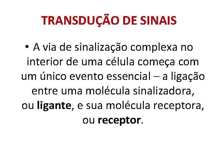 TRANSDUÇÃO DE SINAIS • A via de sinalização complexa no interior de uma célula