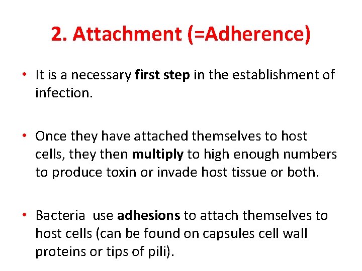 2. Attachment (=Adherence) • It is a necessary first step in the establishment of