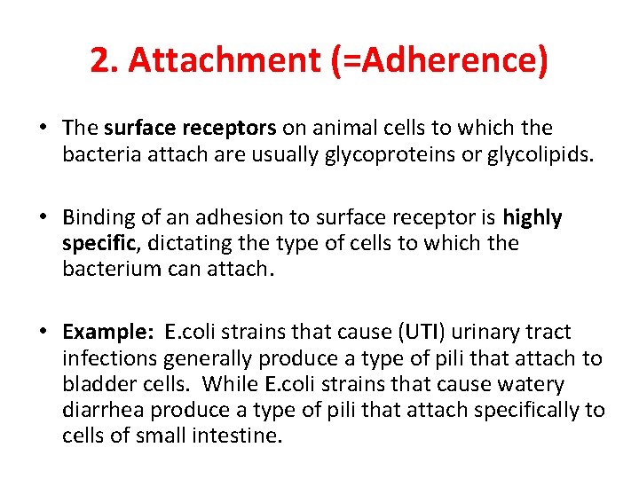 2. Attachment (=Adherence) • The surface receptors on animal cells to which the bacteria