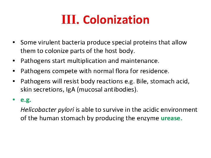 III. Colonization • Some virulent bacteria produce special proteins that allow them to colonize