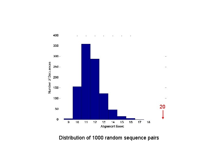 20 Distribution of 1000 random sequence pairs 20 Distribution of 1000 random sequence pairs
