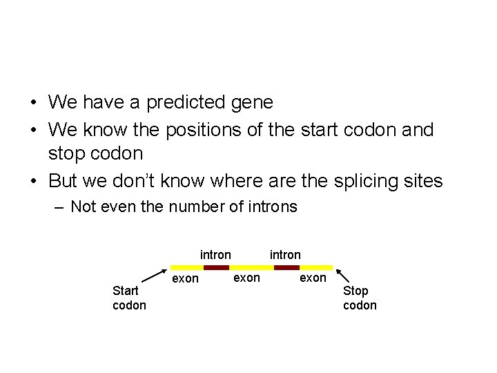 • We have a predicted gene • We know the positions of the • We have a predicted gene • We know the positions of the