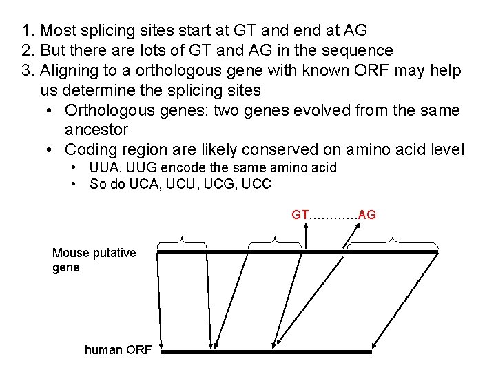 1. Most splicing sites start at GT and end at AG 2. But there 1. Most splicing sites start at GT and end at AG 2. But there